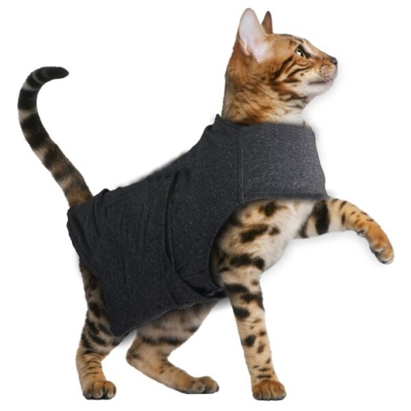 beruhigungsweste zur angstbekaempfung anti angst jacke fuer katzen bis 4 kg 22 33 cm