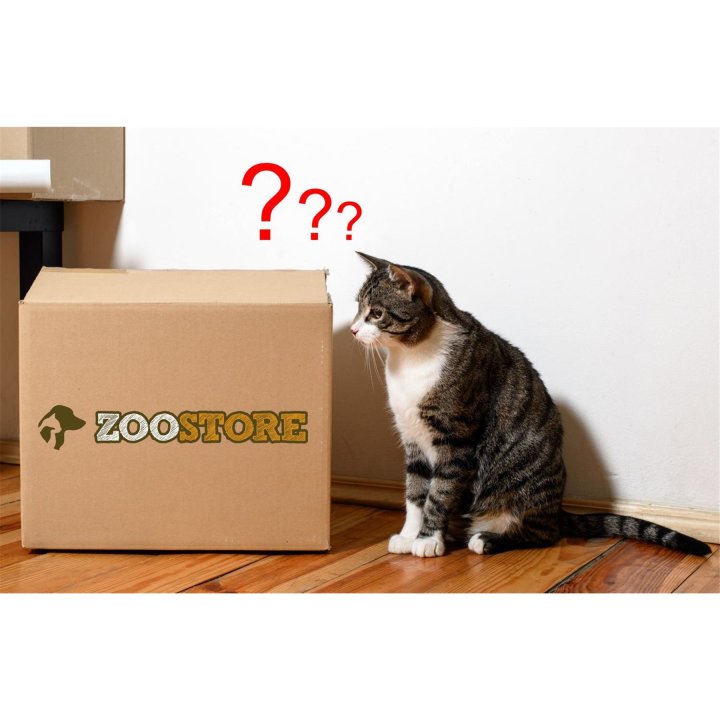 ueberraschungsbox ueberraschungs spielpaket schatzkiste fuer alle grosse katzen